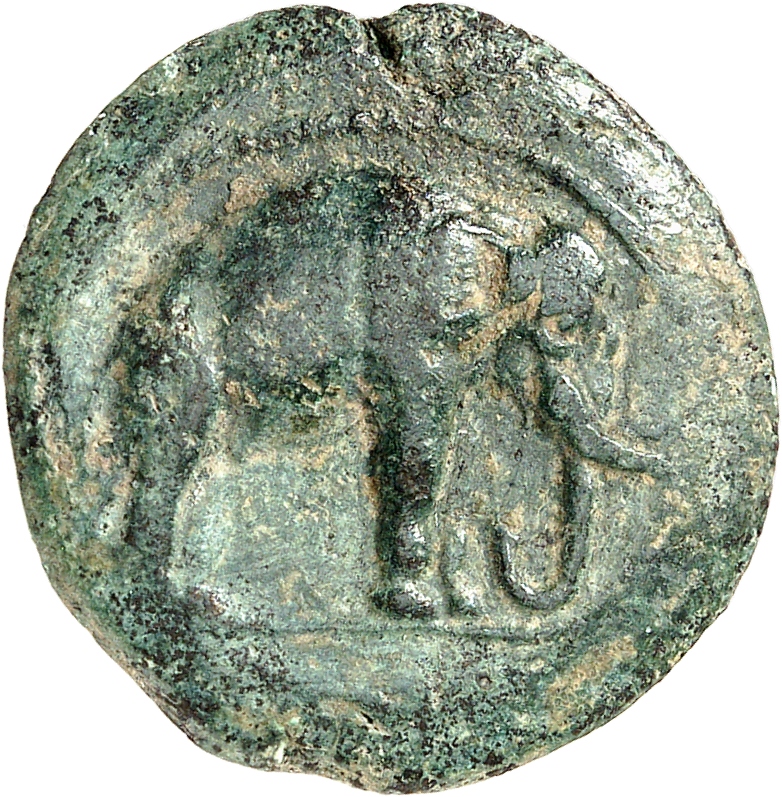 HOUGHTON Seleucid Coins (part 1) 35 Seleucus I obverse, Elephant standing right