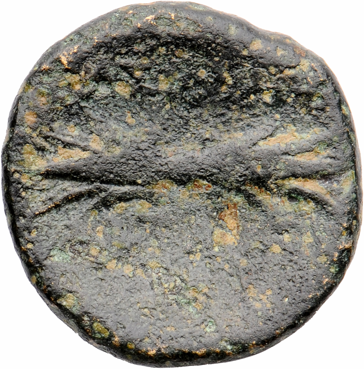 HOUGHTON Seleucid Coins (part 1) 355 Antiochus I reverse, Blitzbündel.