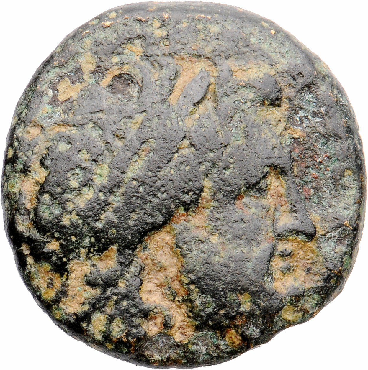 HOUGHTON Seleucid Coins (part 1) 355 Antiochus I obverse, Laureate head of Zeus right