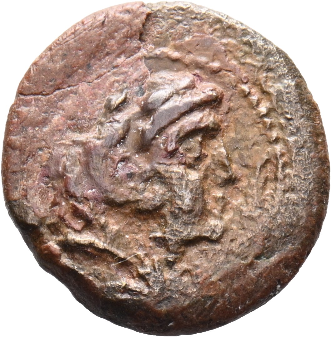 HOUGHTON Seleucid Coins (part 1) 442 Antiochus I obverse, Beardless head of Heracles right wearing lion skin headdress