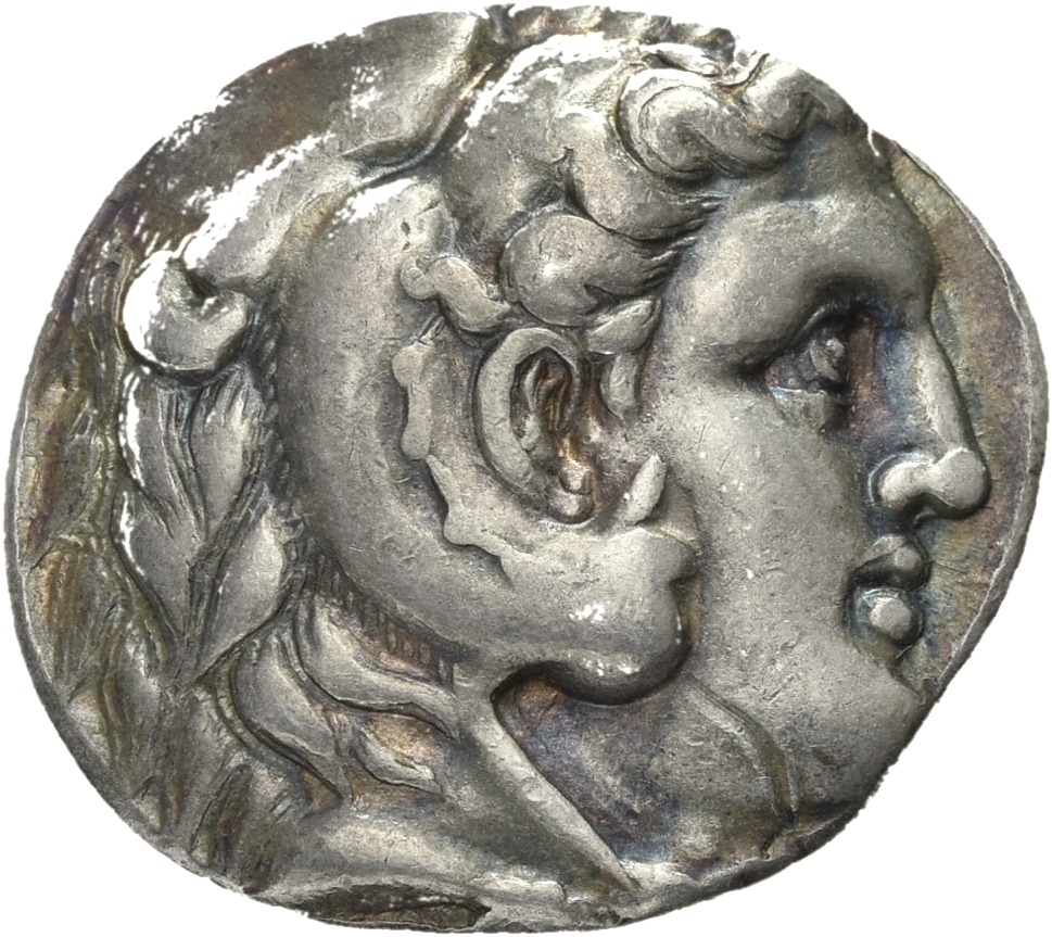 HOUGHTON Seleucid Coins (part 1) 87.1 Seleucus I obverse, Beardless head of Heracles right wearing lion skin headdress