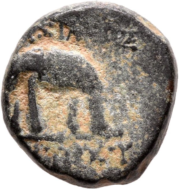 HOUGHTON Seleucid Coins (part 1) 977 Antiochus III reverse, Elephant standing left