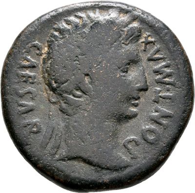 RIC I (second edition) Augustus 229