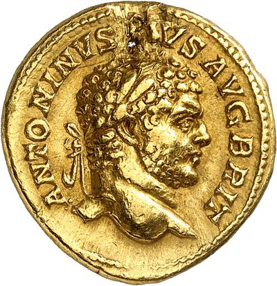RIC IV Caracalla 229A