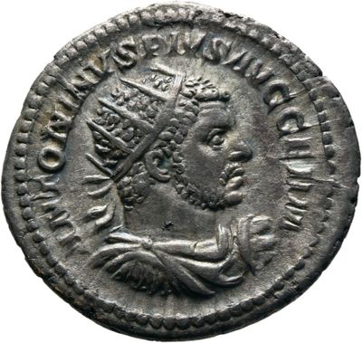 RIC IV Caracalla 311C (antoninianus)