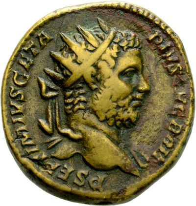 RIC IV Geta 173B