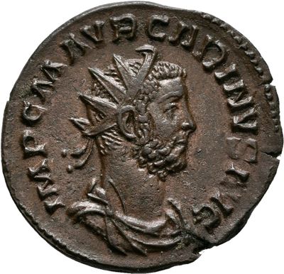 Carinus