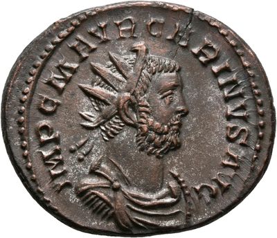 Carinus