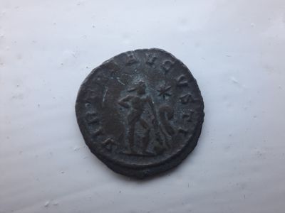 RIC V Carausius 672
