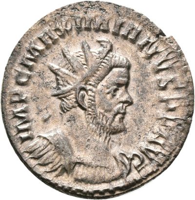 RIC V Diocletian 396