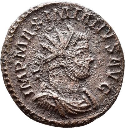 RIC V Diocletian 407