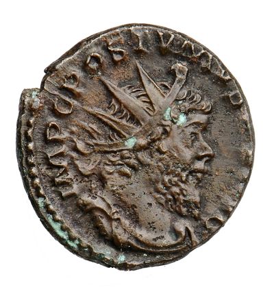 RIC V Postumus 317
