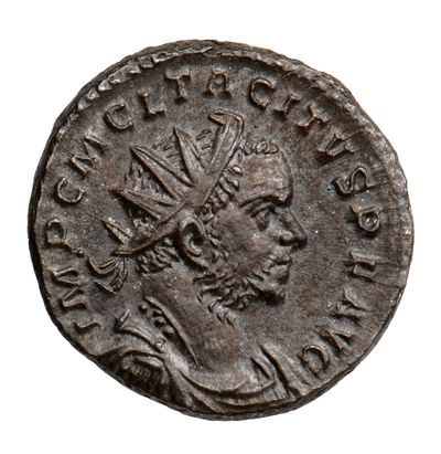 RIC V Tacitus 25