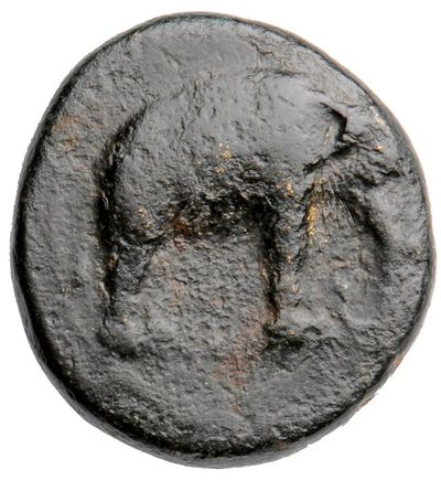 HOUGHTON Seleucid Coins (part 1) 35